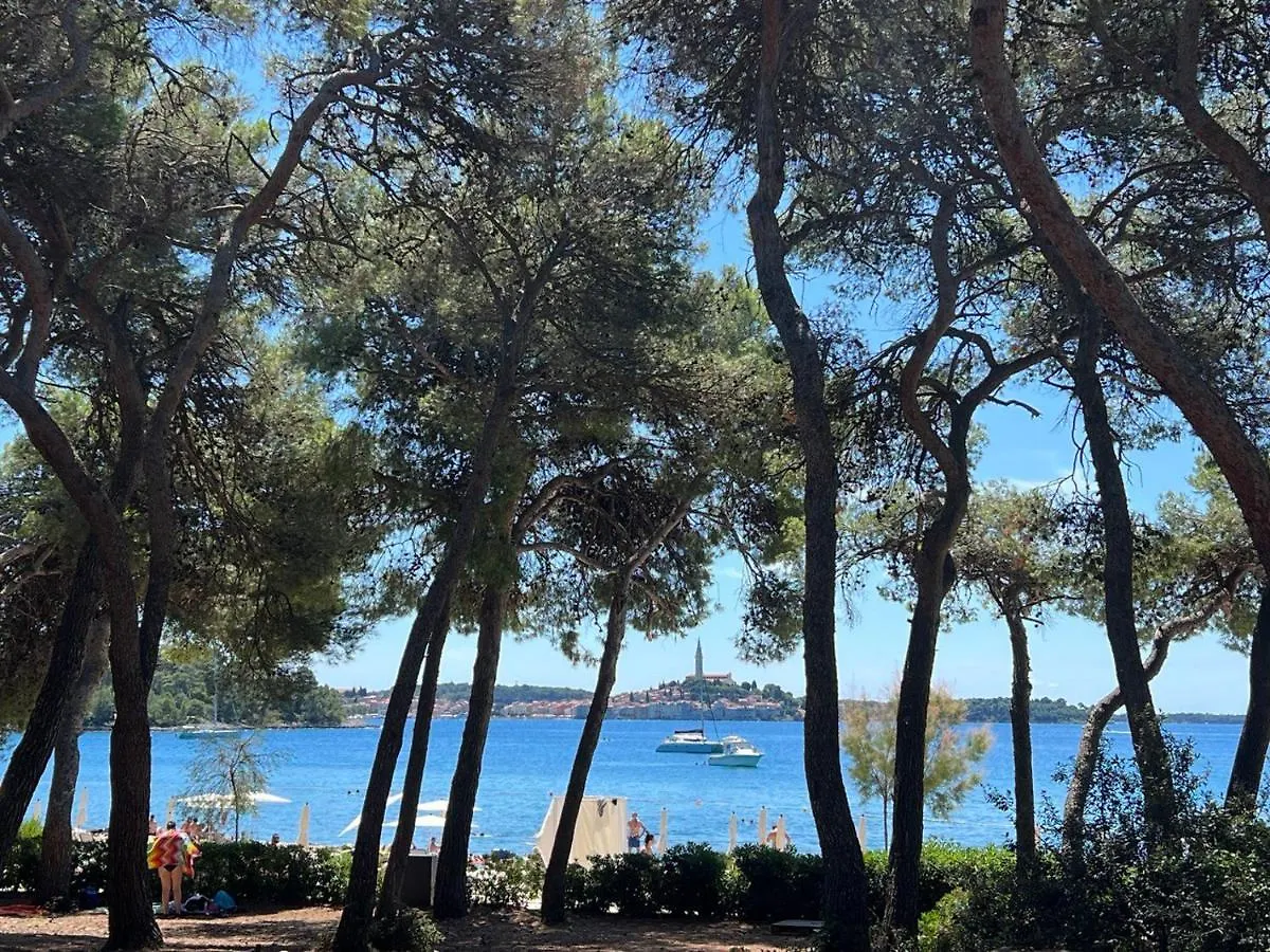 Villa Salteria 3, Pool, Private Territory, Pinery Rovinj 0*,